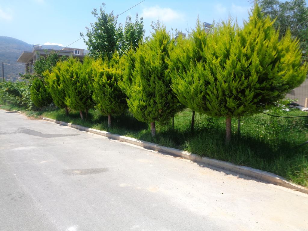 Creta Nostos Luxury Apartment Tsikalaria  외부 사진