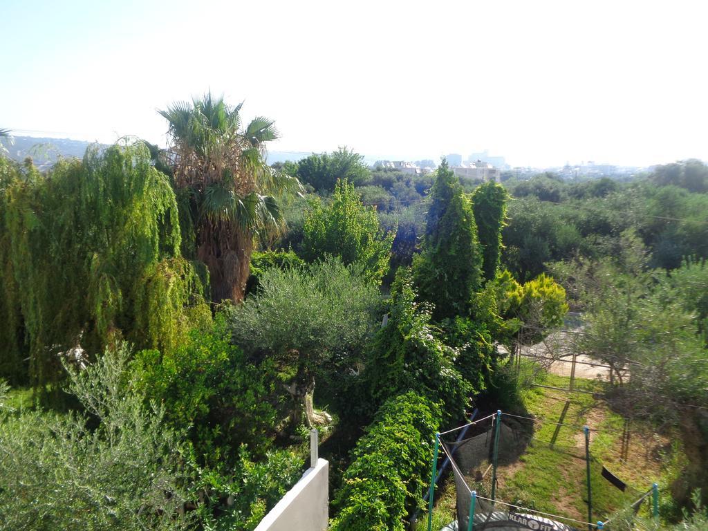Creta Nostos Luxury Apartment Tsikalaria  외부 사진